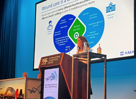 Wounds Conference
