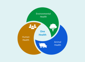 Antimicrobial Resistance logo