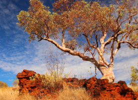 Outback Australia