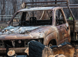 Bushfire aftermath