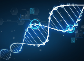DNA molecule structure