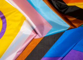 lgbtqia flags