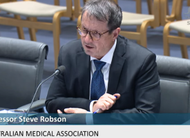 Steve Robson at Senate hearing
