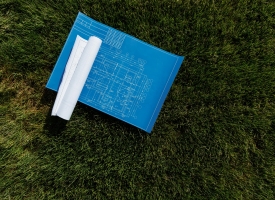 Green field