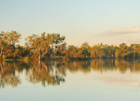 Murray River