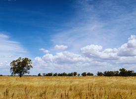 Regional, rural and  remote areas