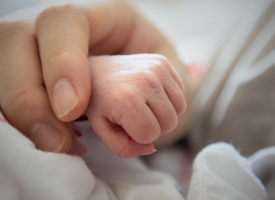 Newborn baby's hand held by a mother's hand