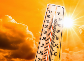 Heat and heatwaves