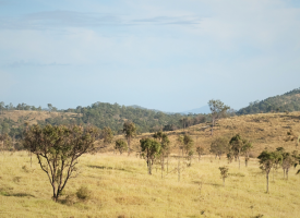 Rural Australian landscape