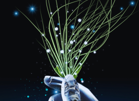digital interoperability paper cover image