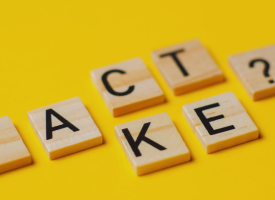 Wooden blocks spelling out fact and fake